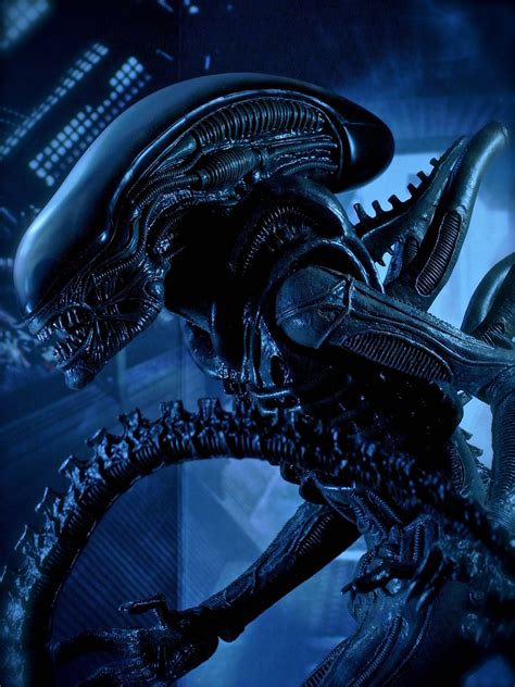Alien (film) .